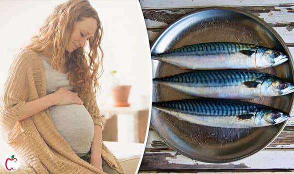 خوردن ماهی در دوران بارداری - سیوطب