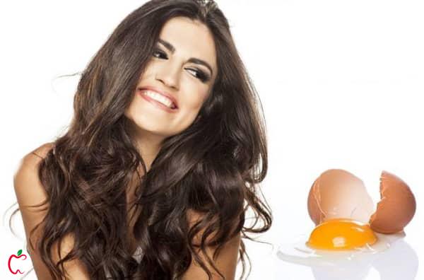 تخم مرغ برای زیبایی مو - سیوطب