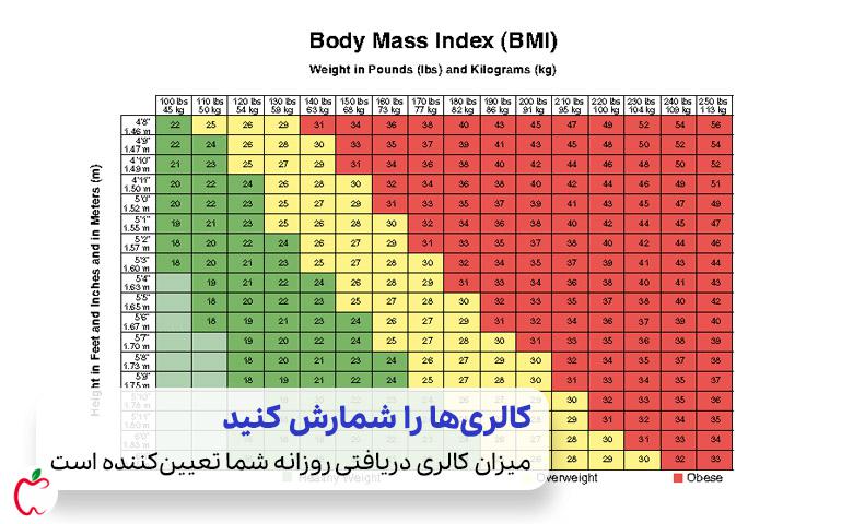 جدول BMI-chart-ranges برای تنظیم رژیم چاقی سریع| سیوطب