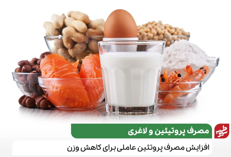 مصرف پروتئین یکی از مراحل رژیم لاغری تا عید|سیوطب