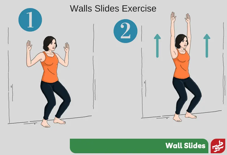 Wall Slides تقویت عضلات چهار سر ران|سیوطب