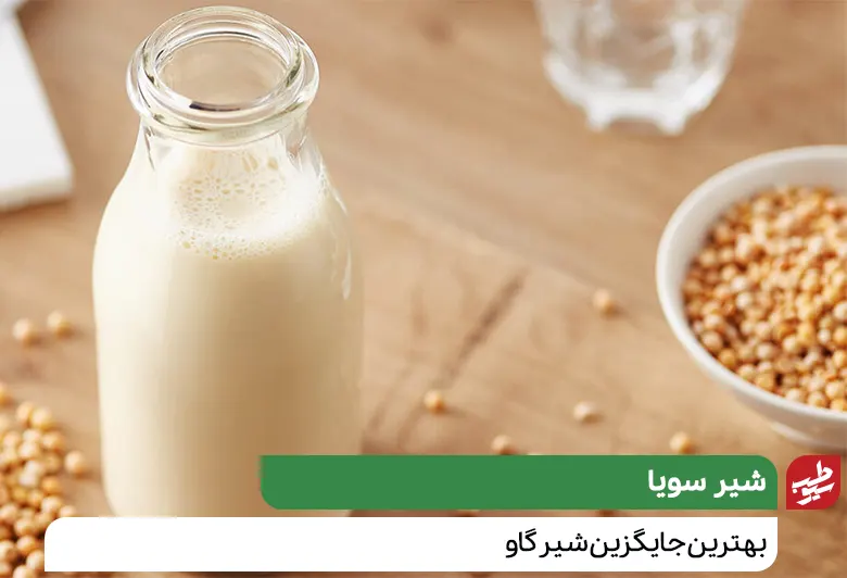 شیر سویا جایگزین شیر|سیوطب