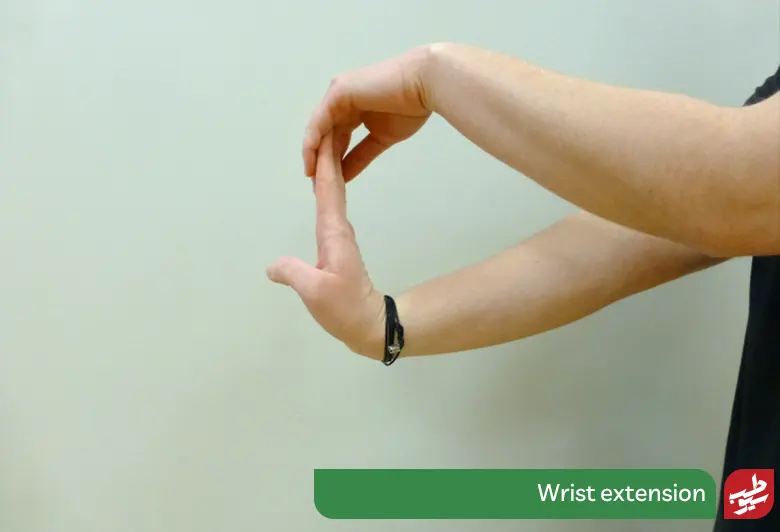 Wrist extension ورزش تقویت مچ دست|سیوطب