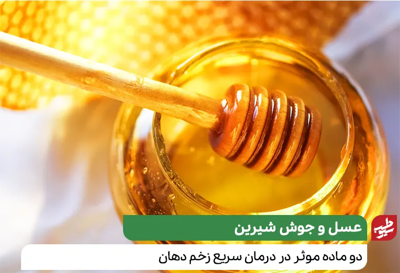  تصویری از عسل برای درمان سریع زخم دهان|سیوطب