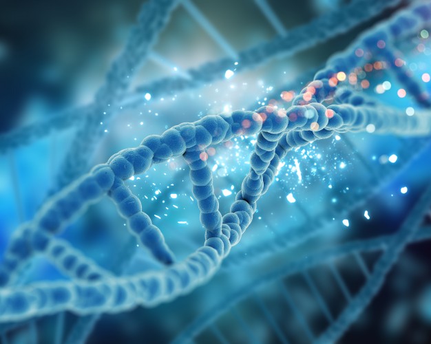 چطور بر اساس DNA رژيم غذايي بگيريم؟