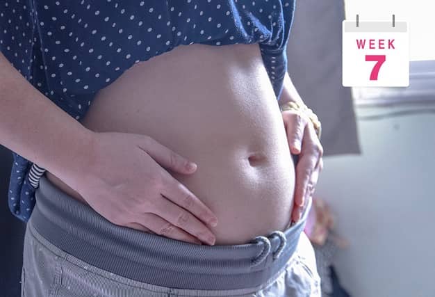 وضعیت زن باردار در هفته هفتم بارداری | سیوطب