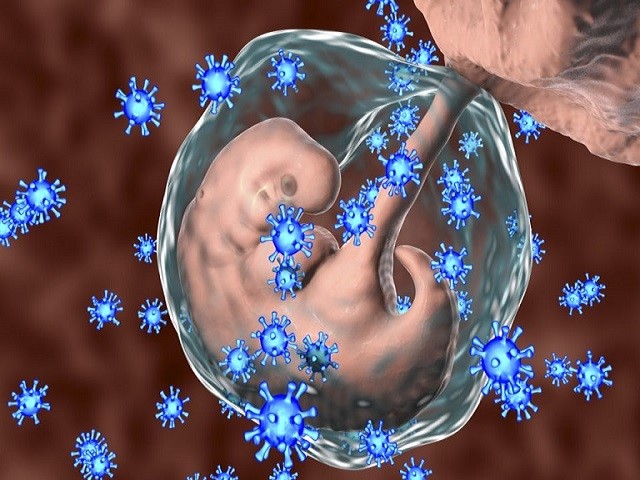 انتقال کرونا از مادر باردار به جنین | سیوطب