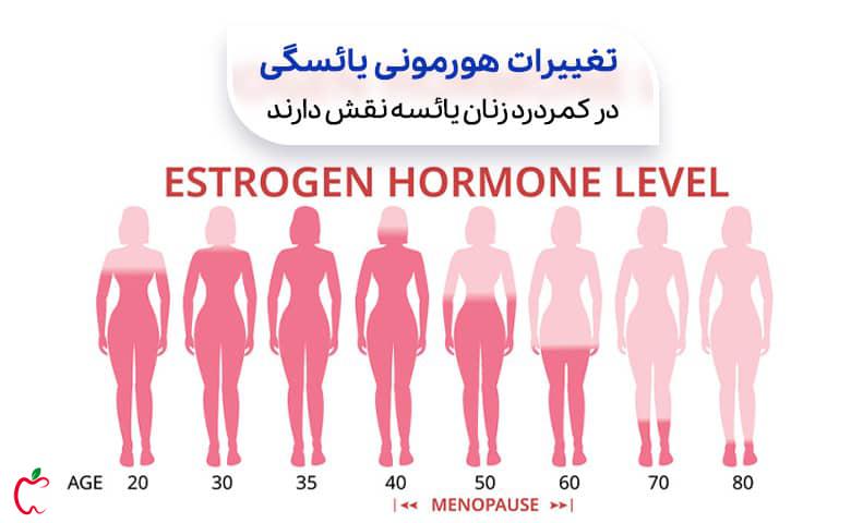 چارت تغییرات هورمونی زنان در زمان یائسگی که علت کمردرد در زنان یائسه است|سیوطب