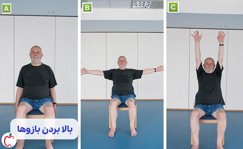 تصویر بالا بردن بازوها در ورزش‌های نشسته سالمندان| سیوطب