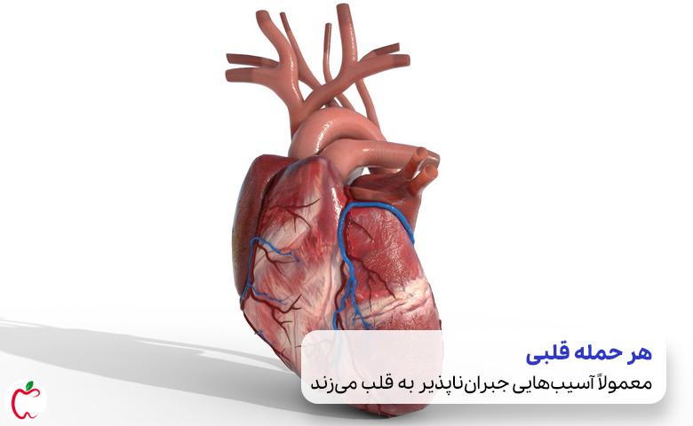 قلب انسان|سیوطب