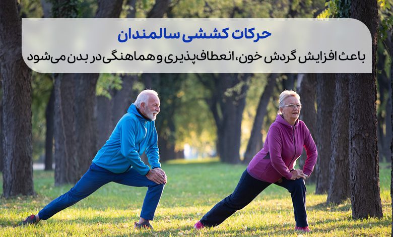 سالمندانی شاد در پارک حرکات کششی انجام می‌دهند|سیوطب