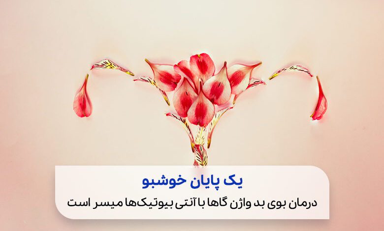 گلبرگ های ریخته شد در ناحیه واژن یک خانم برای درمان بوی بد واژن|سیوطب