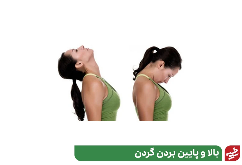 کج کردن سر برای ورزش آرتروز گردن|سیوطب