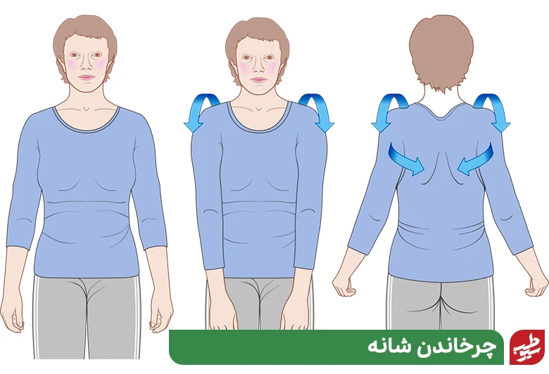 چرخاندن شانه برای ورزش آرتروز گردن|سیوطب