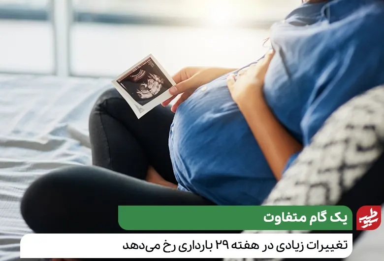 هفته 29 بارداری برای زنان باردار از اهمیت بالایی برخوردار است|سیوطب