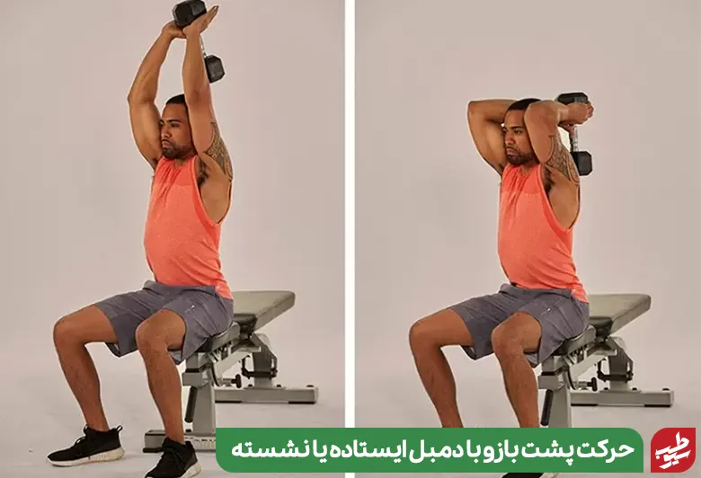 حرکت پشت بازو با دمبل ایستاده یا نشسته در ورزش چاقی بازو|سیوطب