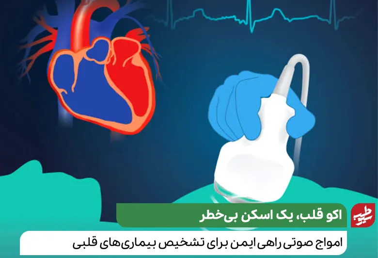 اکو قلب می‌تواند مشکلات و بیماری‌های قلبی را نشان دهد|سیوطب