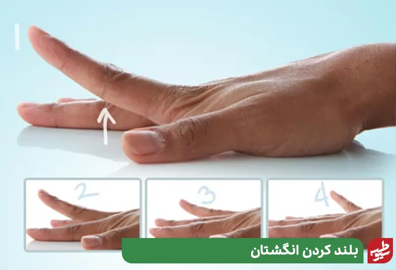 بلندکردن انگشتان ورزش دست درد|سیوطب