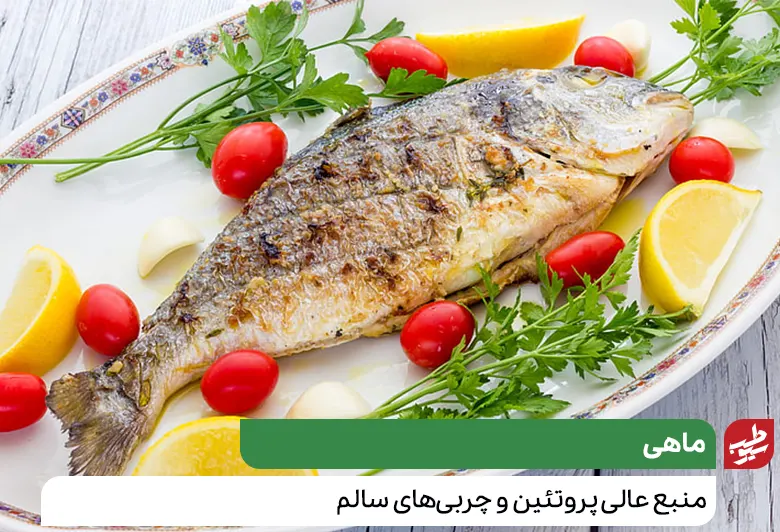 ماهی در برنامه رژیم غذایی چاقی|سیوطب