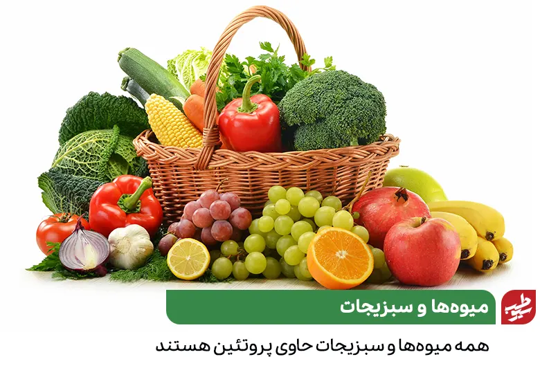 میوه و سبزیجات برای تامین پروتئین گیاهی برای گیاهخواران|سیوطب