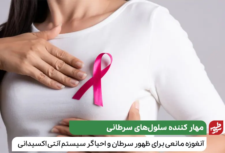 خانمی که برای کنترل سرطان سینه به رژیم خوراکی آنغوزه روی آورده است|سیوطب