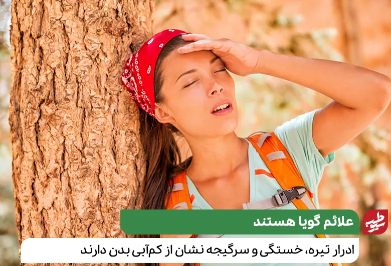 عدم احساس تشنگی موجب بروز سرگیجه و خستگی می‌شود|سیوطب