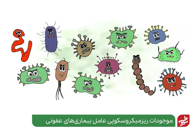 عوامل بیماری‌زای بیماری های عفونی میکروسکوپی هستند|سیوطب