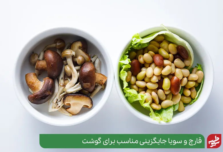 مواد غذایی حاوی پروتئین گیاهی|سیوطب