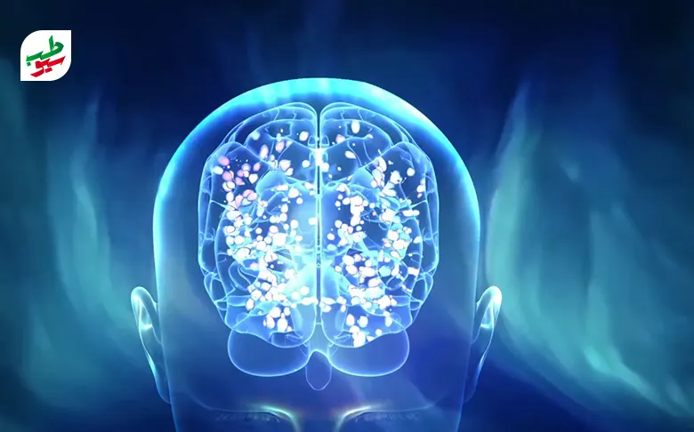 مغز و آنچه در آن برای تقویت حافظه بلند مدت رخ می‌دهد|سیوطب