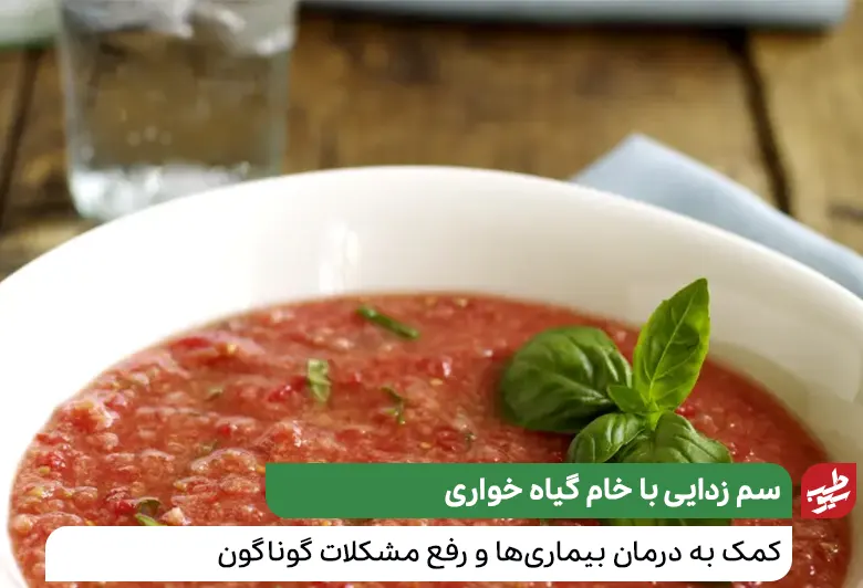 سوپ سبزیجات برای برون ریزی در خام گیاه خواری|سیوطب