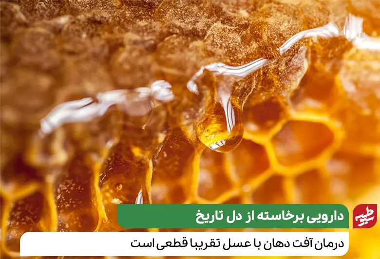  ظرف حاوی عسل برای درمان آفت دهان|سیوطب