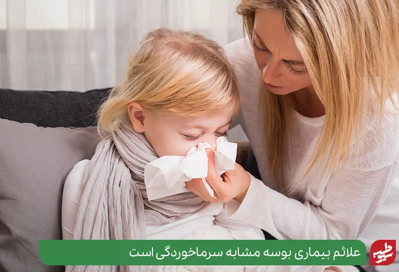 علائم مونونوکلئوز مانند آنفولانزا و سرماخوردگی است|سیوطب