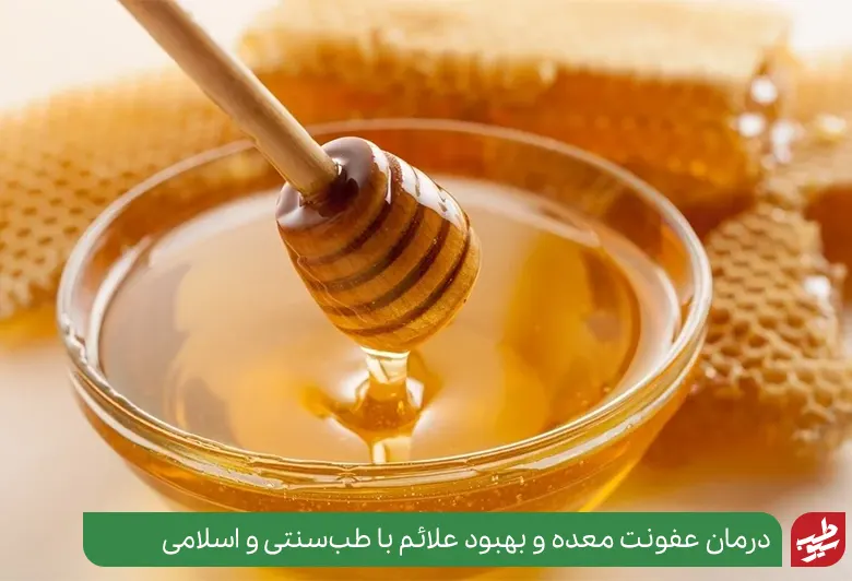 عسل در درمان عفونت معده موثر است|سیوطب