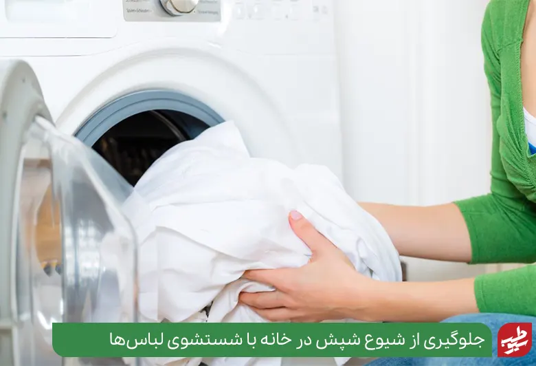 شستن لباس‌ها راهی برای جلوگیری از شیوع بیشتر شپش در خانه|سیوطب