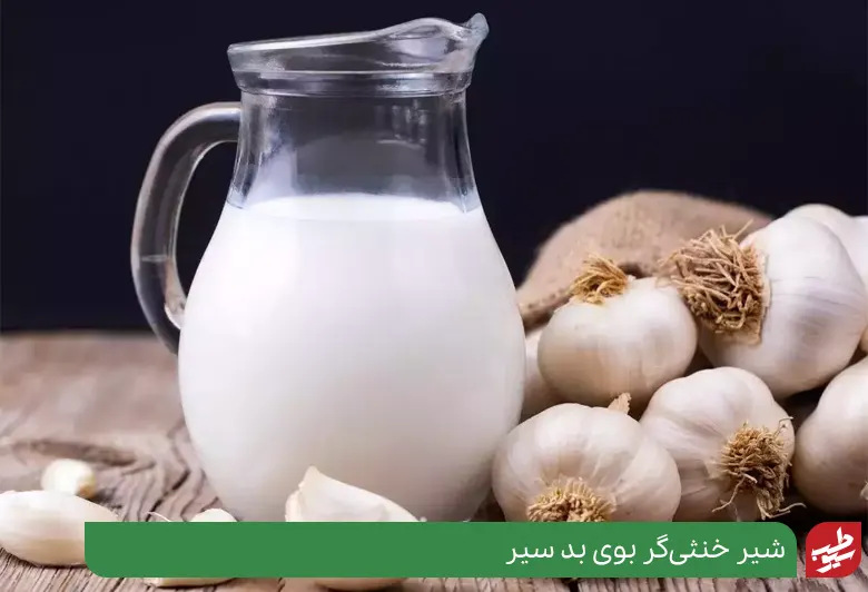مصرف شیر باعث رفع بوی بد شیر از دهان و معده می‌شود|سیوطب