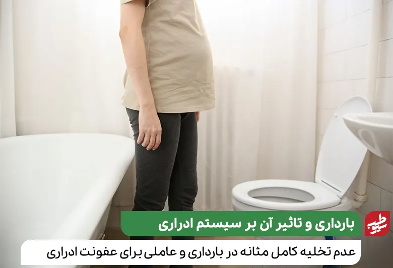 عدم دفع کامل ادرار عاملی برای عفونت ادراری در بارداری|سیوطب