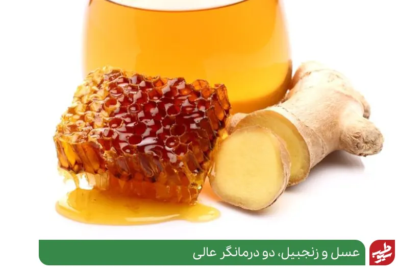 عسل و زنجبیل دو ماده مفید برای درمان مسمومیت|سیوطب