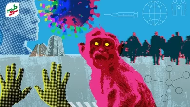 دست، میمون و ویروس آبله میمون|سیوطب