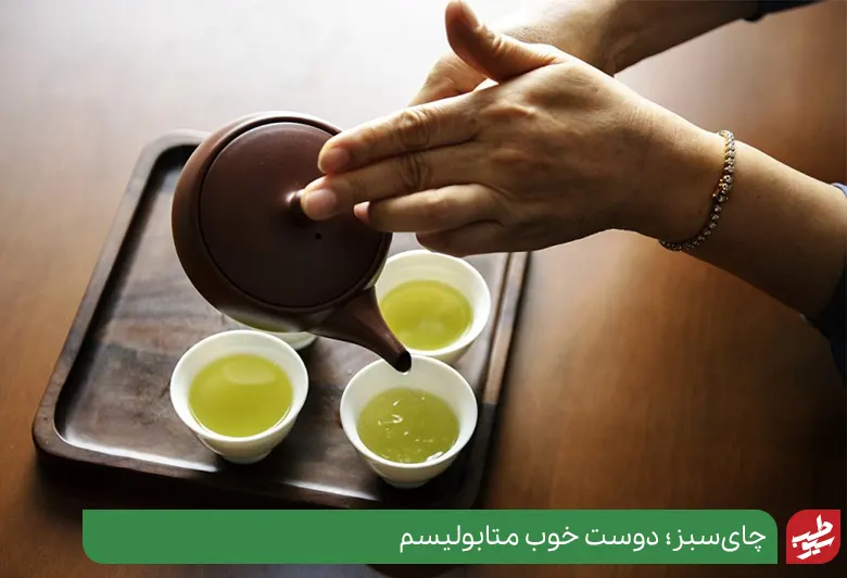 چای‌سبز؛ دوست خوب متابولیسم |سیوطب