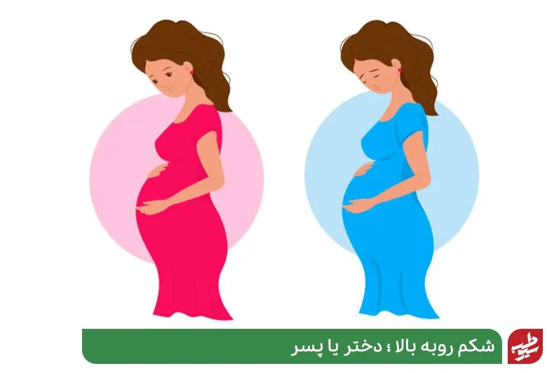 اگر شکم زن باردار بالا باشد جنین دختر و ویار جنین دختر خواهد داشت|سیوطب