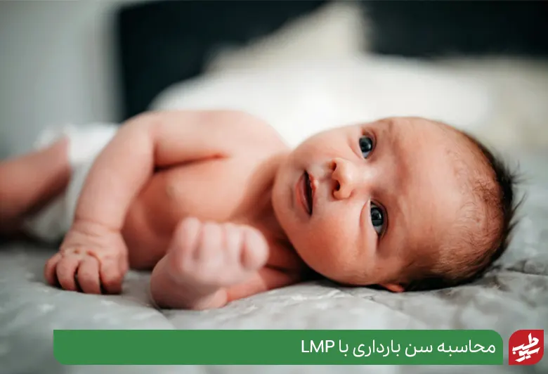 روش LMP بهترین روش محاسبه سن بارداری|سیوطب