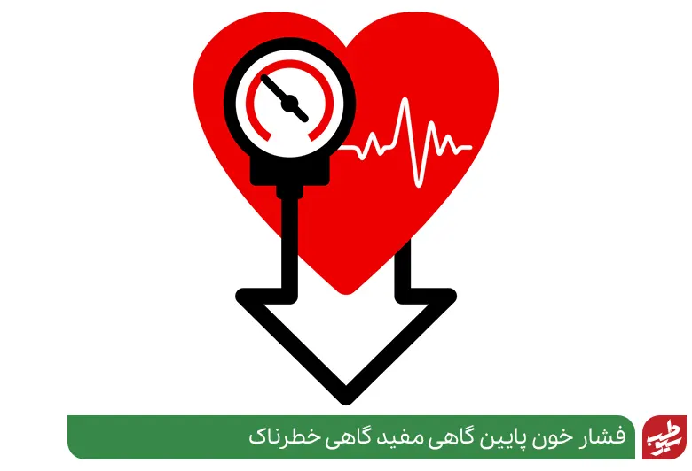  آناتومی قلب که مبتلا به فشار پایین و نیاز به درمان فشار خون پایین دارد|سیوطب
