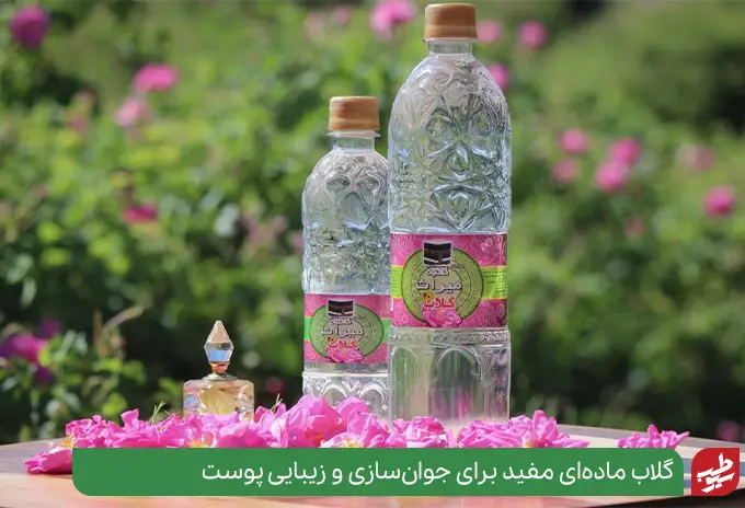 گلاب ماده ای مفید برای پوست صورت|سیوطب