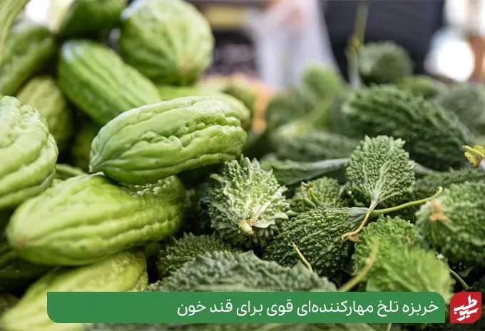 خربزه تلخ برای پایین آوردن سریع قند خون طب سنتی|سیوطب