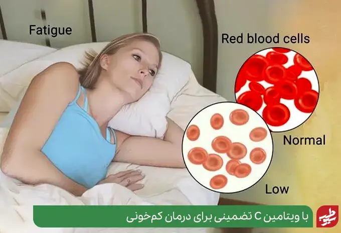 نحوه مصرف قرص ویتامین C و تاثیر آن بر قبل و بعد گلوبول‌های قرمز خون|سیوطب